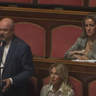 Enrico Borghi