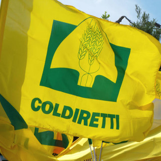 Mattarella firma il decreto agricoltura, un sostegno concreto alle imprese