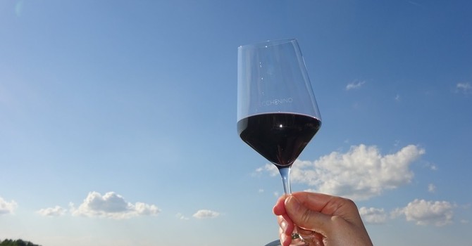 Vino, Bongioanni: "Stanziato 1,5 milioni di per risolvere il problema delle giacenze nelle cantine" Vino, Bongioanni: "Stanziato 1,5 milioni di per risolvere il problema delle giacenze nelle cantine"