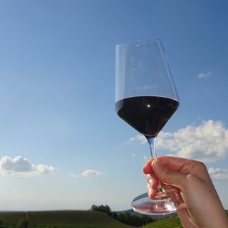 Vino, Bongioanni: "Stanziato 1,5 milioni di  per risolvere il problema delle giacenze nelle cantine"