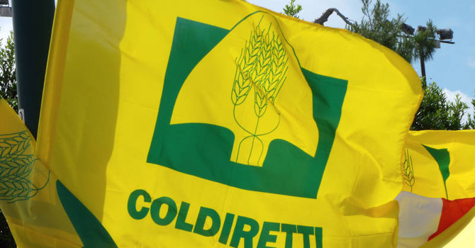 Emergenza siccità tra Novara e il Vco, Coldiretti lancia l’allarme: "Subito lo stato d'emergenza, raccolti a rischio" Emergenza siccità tra Novara e il Vco, Coldiretti lancia l’allarme: "Subito lo stato d'emergenza, raccolti a rischio"