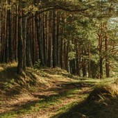 Acqua, foreste, ghiacciai: l’appello di Uncem alla politica