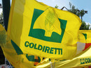 Food for Gaza: l'iniziativa di solidarietà di Coldiretti Piemonte