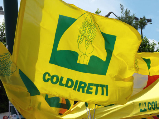 Mattarella firma il decreto agricoltura, un sostegno concreto alle imprese Mattarella firma il decreto agricoltura, un sostegno concreto alle imprese
