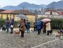Anche a Omegna la benedizione degli animali FOTO