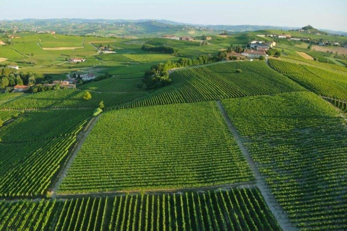 Il biologico piemontese cresce grazie alla cooperazione Il biologico piemontese cresce grazie alla cooperazione