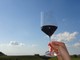 Vino, Bongioanni: "Stanziato 1,5 milioni di per risolvere il problema delle giacenze nelle cantine" Vino, Bongioanni: "Stanziato 1,5 milioni di per risolvere il problema delle giacenze nelle cantine"