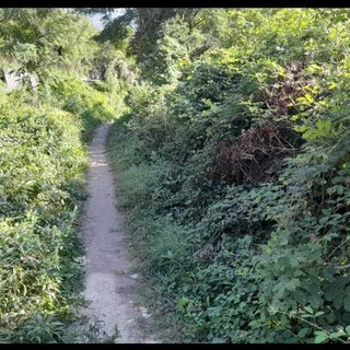 In stato di abbandono la ciclovia tra Candoglia e Mergozzo