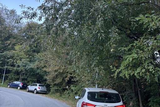 Songa (Indipendenza) denuncia: &quot;Crusinallo sempre più dimenticata&quot;
