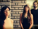 A &quot;Leone di note&quot; il concerto del Canova Trio