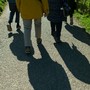 &quot;Uniti insieme&quot;, a Gravellona una camminata a sostegno di Angsa Vco