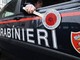 Atti osceni sull'Isola dei Pescatori: multa da 10mila euro ad una coppia di Alessandria