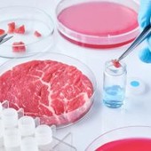 Cibo prodotto in laboratorio, Coldiretti Novara-Vco: “Restano dubbi su sicurezza e sostenibilità” Cibo prodotto in laboratorio, Coldiretti Novara-Vco: “Restano dubbi su sicurezza e sostenibilità”