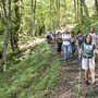 Terre di Mezzo, sei camminate verso il nuovo percorso da Trontano ad Aurano Terre di Mezzo, sei camminate verso il nuovo percorso da Trontano ad Aurano