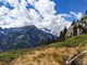 Escursione all'Alpe Cicerwald e all'Alpe Tore