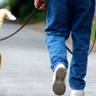 “A Verbania tanti padroni di cani maleducati”