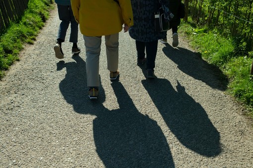 &quot;Uniti insieme&quot;, a Gravellona una camminata a sostegno di Angsa Vco