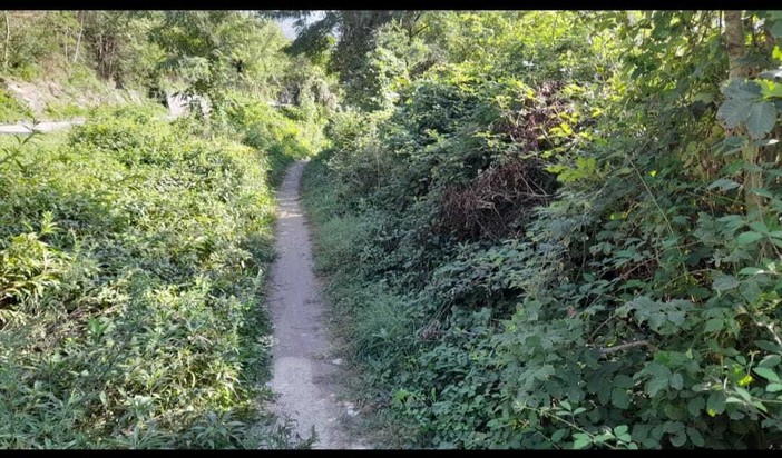 In stato di abbandono la ciclovia tra Candoglia e Mergozzo In stato di abbandono la ciclovia tra Candoglia e Mergozzo