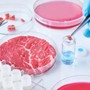 Cibo prodotto in laboratorio, Coldiretti Novara-Vco: “Restano dubbi su sicurezza e sostenibilità” Cibo prodotto in laboratorio, Coldiretti Novara-Vco: “Restano dubbi su sicurezza e sostenibilità”