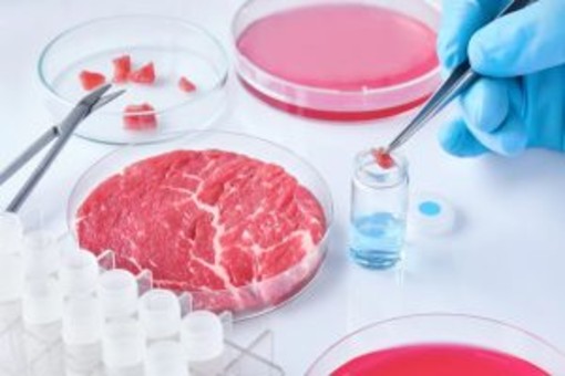 Cibo prodotto in laboratorio, Coldiretti Novara-Vco: “Restano dubbi su sicurezza e sostenibilità” Cibo prodotto in laboratorio, Coldiretti Novara-Vco: “Restano dubbi su sicurezza e sostenibilità”