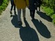 &quot;Uniti insieme&quot;, a Gravellona una camminata a sostegno di Angsa Vco