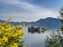 Tutto pronto per l'apertura al pubblico dei Castelli di Cannero Tutto pronto per l'apertura al pubblico dei Castelli di Cannero