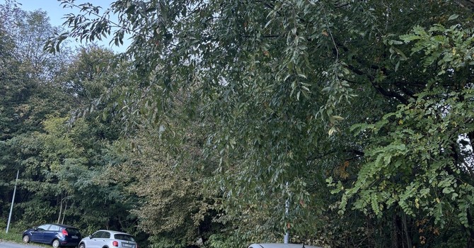 Songa (Indipendenza) denuncia: &quot;Crusinallo sempre più dimenticata&quot;