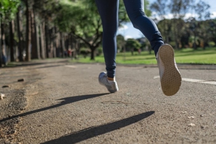 "Uniti insieme": a Gravellona la camminata benefica a sostegno di Angsa Vco "Uniti insieme": a Gravellona la camminata benefica a sostegno di Angsa Vco