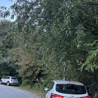 Songa (Indipendenza) denuncia: &quot;Crusinallo sempre più dimenticata&quot;