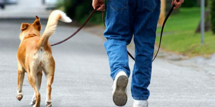 “A Verbania tanti padroni di cani maleducati”