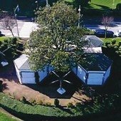 Si cerca un gestore per lo storico Daniel's Bar Si cerca un gestore per lo storico Daniel's Bar