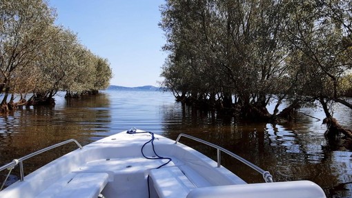 Torna in acqua per due visite guidata “Elettra”, la barca comunale elettrica