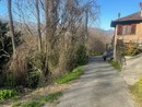 Via Cassinone a Crusinallo: una situazione pericolosa da risolvere subito FOTO