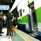 Arrestato un corriere della droga a Verbania