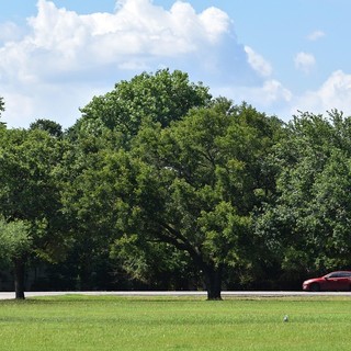 La mobilità moderna e il ruolo del noleggio auto