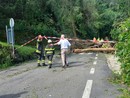 Cannobio: primo sopralluogo geologico dopo la frana di Traffiume FOTO