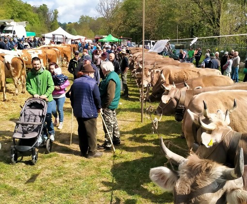 Foto Facebook Pro Loco Vergantino di Brovello Carpugnino