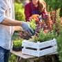 Piante e fiori arrivano dall'estero: l'sos di Coldiretti Piemonte