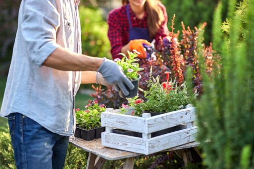 Piante e fiori arrivano dall'estero: l'sos di Coldiretti Piemonte