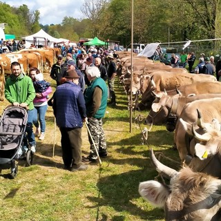 Foto Facebook Pro Loco Vergantino di Brovello Carpugnino