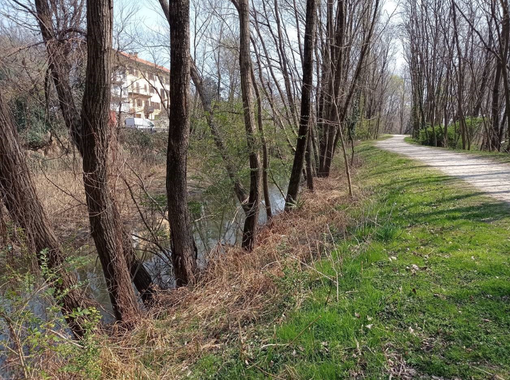 Tornerà a nuova vita il canale di Fondotoce Tornerà a nuova vita il canale di Fondotoce