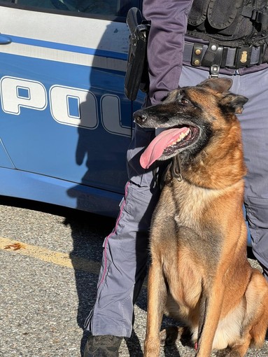 Omegna, controlli antidroga nelle scuole: segnalati tre minori