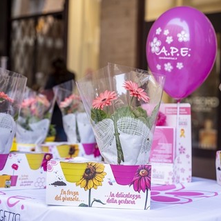 Tornano a Verbania i "Fiori della consapevolezza" contro l'endometriosi