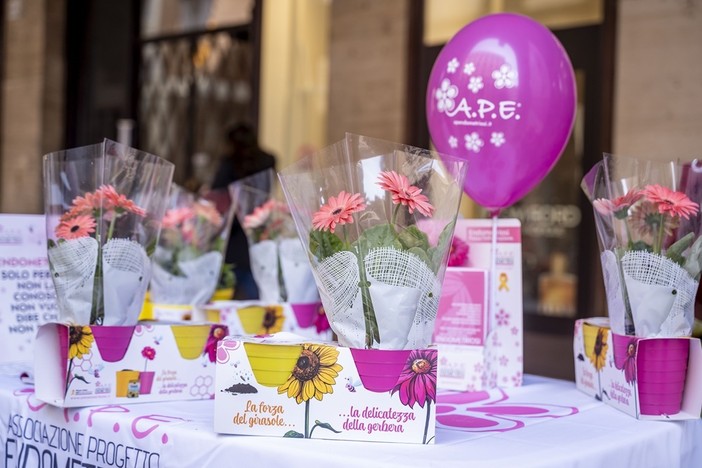 Tornano a Verbania i "Fiori della consapevolezza" contro l'endometriosi