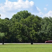 La mobilità moderna e il ruolo del noleggio auto La mobilità moderna e il ruolo del noleggio auto