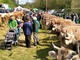 Foto Facebook Pro Loco Vergantino di Brovello Carpugnino