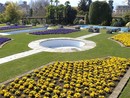 &quot;Passione botanica&quot;, la mostra dedicata all'inventore dei giardini di Villa Taranto