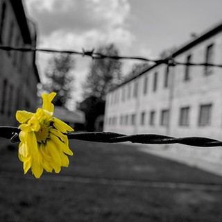 Il comune organizza un viaggio ad Auschwitz e Birkenau per non dimenticare