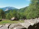 Terre di Mezzo Tour: la tappa da Cossogno a Miazzina, un'escursione tra i borghi, mostra storica e canti popolari Terre di Mezzo Tour: la tappa da Cossogno a Miazzina, un'escursione tra i borghi, mostra storica e canti popolari