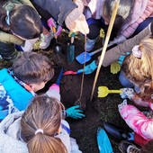 I carabinieri forestali e la primaria Cantelli festeggiano la giornata nazionale degli alberi